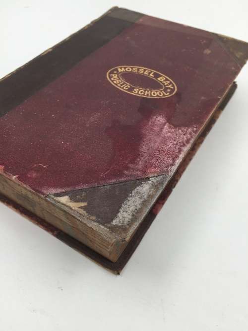 Half Hours with a Naturalist Rambles Near the Shore by Rev Wood 1889