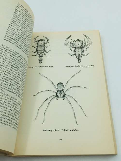 A Field Guide to the Animal Tracks of Southern Africa ~ Louis Liebenberg | Scarce