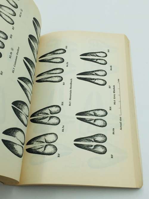 A Field Guide to the Animal Tracks of Southern Africa ~ Louis Liebenberg | Scarce