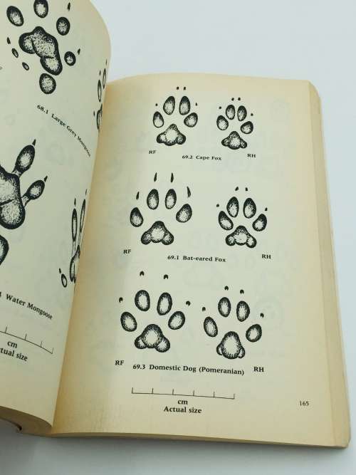 A Field Guide to the Animal Tracks of Southern Africa ~ Louis Liebenberg | Scarce