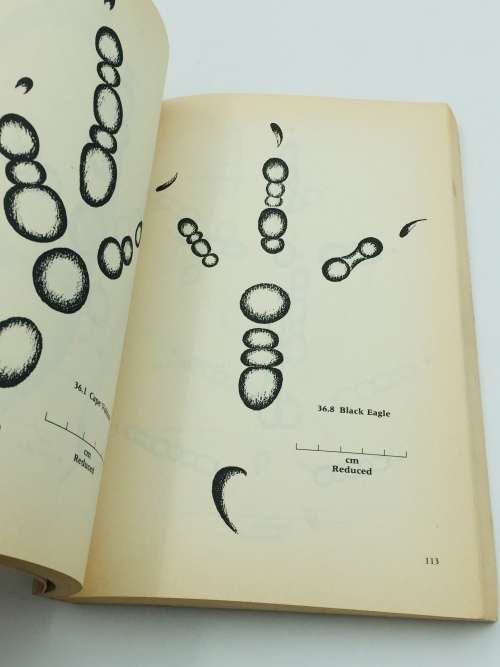 A Field Guide to the Animal Tracks of Southern Africa ~ Louis Liebenberg | Scarce