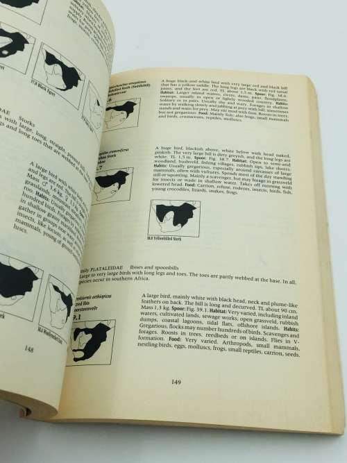 A Field Guide to the Animal Tracks of Southern Africa ~ Louis Liebenberg | Scarce