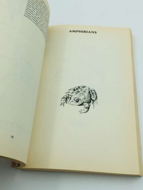 A Field Guide to the Animal Tracks of Southern Africa ~ Louis Liebenberg | Scarce
