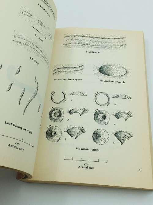 A Field Guide to the Animal Tracks of Southern Africa ~ Louis Liebenberg | Scarce