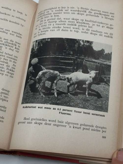 Handleiding oor Dierevoeding - JW Groenewald 1957