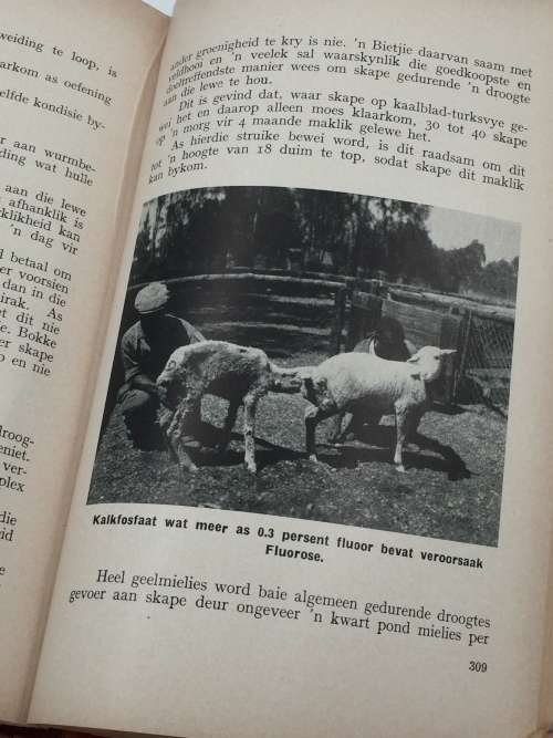 Handleiding oor Dierevoeding - JW Groenewald 1957