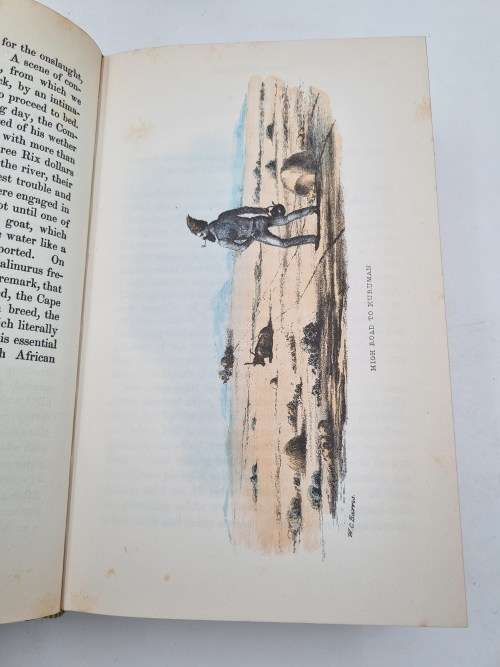 Wild Sports of Southern Africa by William Cornwallis Harris