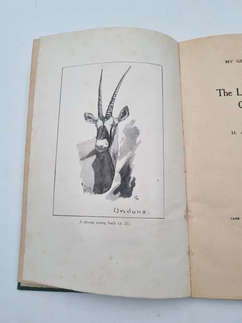 The Life Story of a Gemsbuck - H Ant Aschenborn