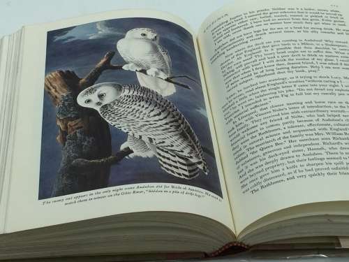 A Species of Eternity  Joseph Kastner | First Edition New York 1977