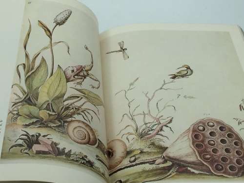 A Species of Eternity  Joseph Kastner | First Edition New York 1977
