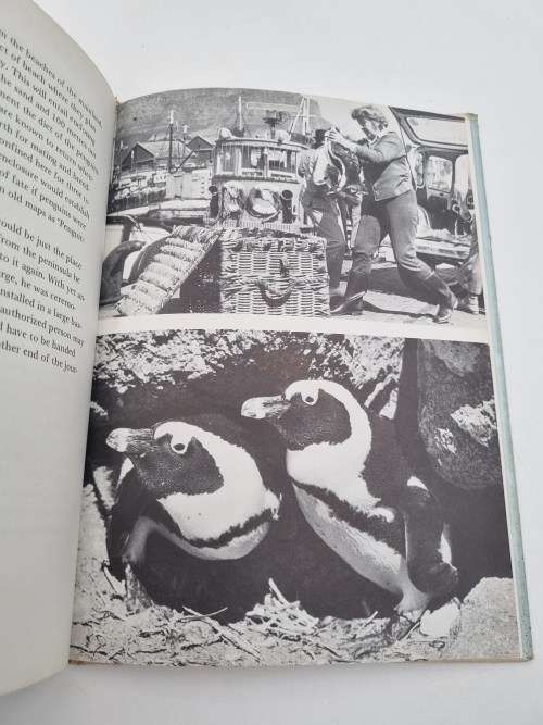 Gregory Jackass Penguin - Marie Philip