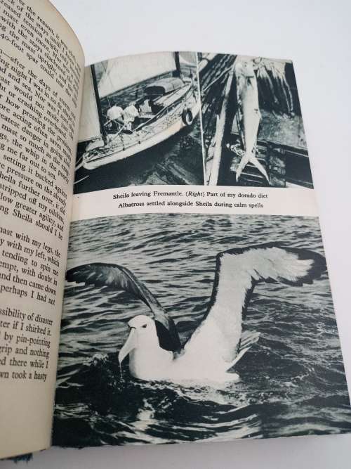 Sheila in the Wind by Adrian Hayter | Sailing