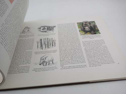 Elephants of Africa by Paul Bosman and Anthony Hall-Martin 1986 First Edition