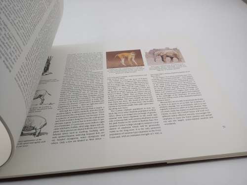 Elephants of Africa by Paul Bosman and Anthony Hall-Martin 1986 First Edition