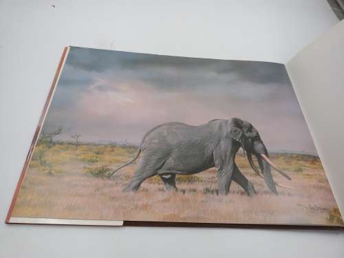 Elephants of Africa by Paul Bosman and Anthony Hall-Martin 1986 First Edition