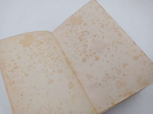 The Essays of Elia and Eliana by Charles Lamb | George Bell & Sons 1903