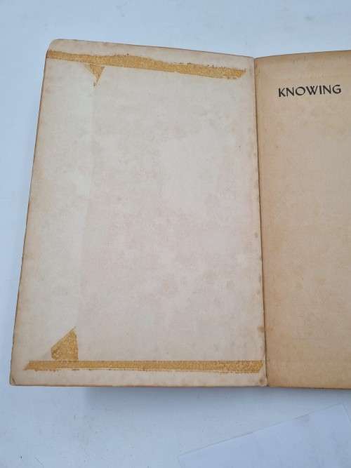 Knowing - Michael D Roth and Leon Galis | Essays in the Analysis of Knowledge