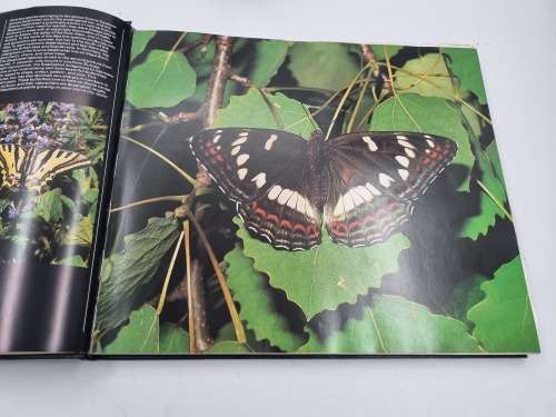 Zauberwelt Der Schmetterlinge | The Magic of Butterflies | Papillons | 3 Languages