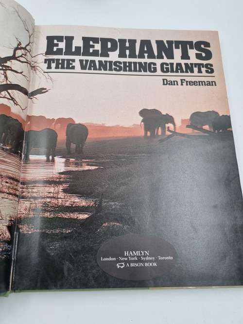 Elephants - Dan Freeman | The Vanishing Giants