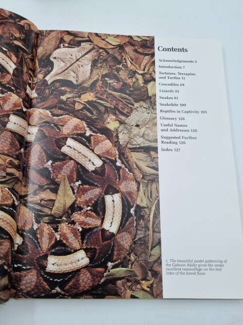 Reptiles of Southern Africa - A Handsomely Illustrated Guide to 90 of SA`s most fascinating reptiles