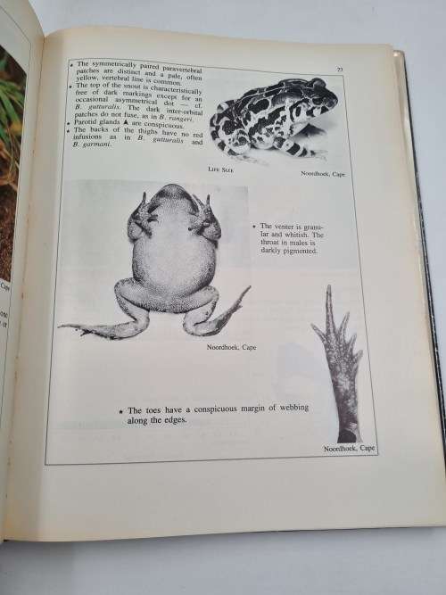 South African Frogs by Passmore and Carruthers