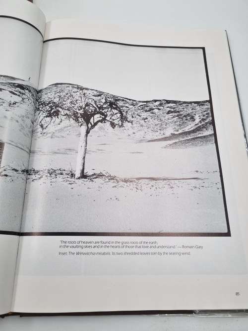 Twilight of the Giants by Clive Walker | Excellent condition and great photos