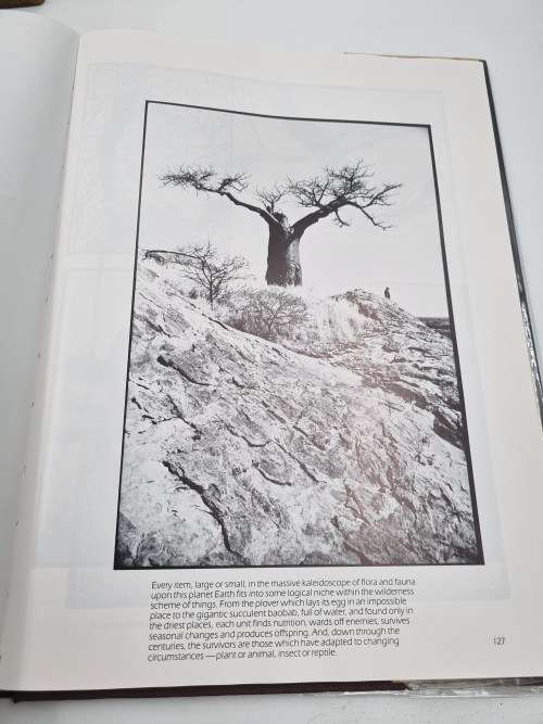 Twilight of the Giants by Clive Walker | Excellent condition and great photos
