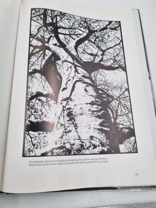 Twilight of the Giants by Clive Walker | Excellent condition and great photos