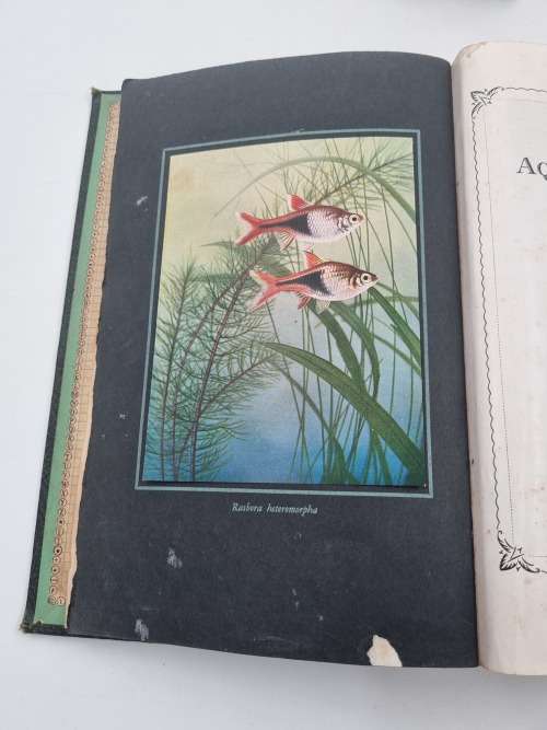 Exotic Aquarium Fishes by William T. Innes | Classic 1951