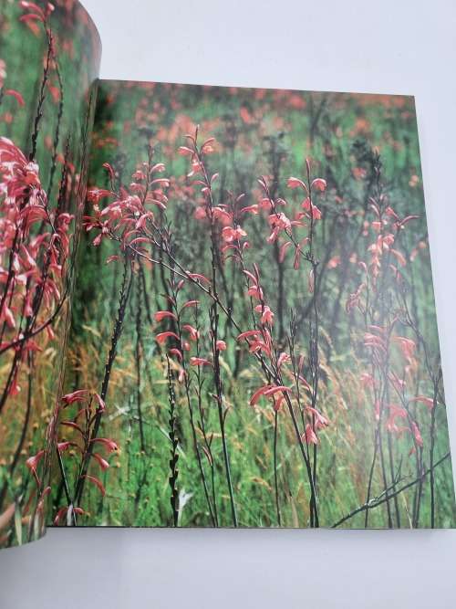 The Garden Route and Little Karoo - Leon Nell | Between the Desert and the Deep Blue Sea