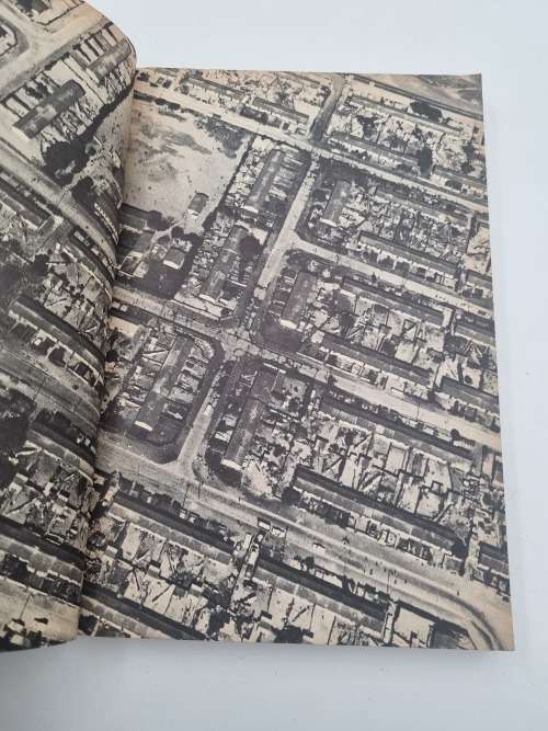 The Diary of Maria Tholo by Carol Hermer