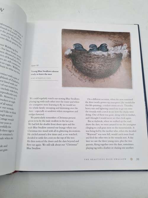 Veld Sketchbook - Wildlife Portraits and Essays by Jeff Huntly