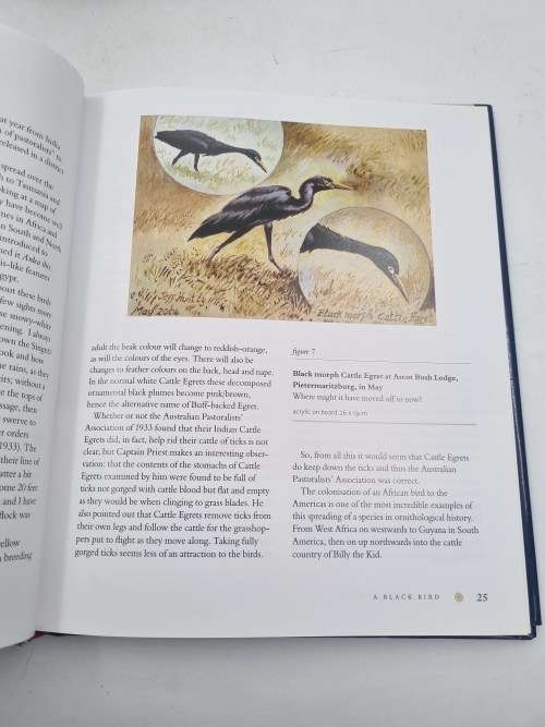 Veld Sketchbook - Wildlife Portraits and Essays by Jeff Huntly