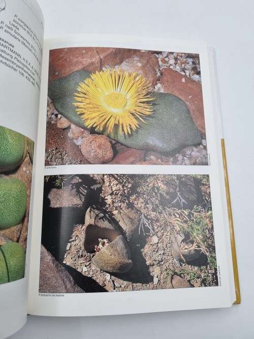 Mesembs of the World - Ben - Erik Van Wyk | Illustrated Guide to a Remarkable Succulent Group