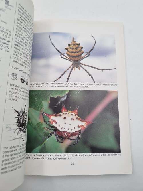 Southern African Spiders An Identification - Martin R Filmer, Linda Duigan