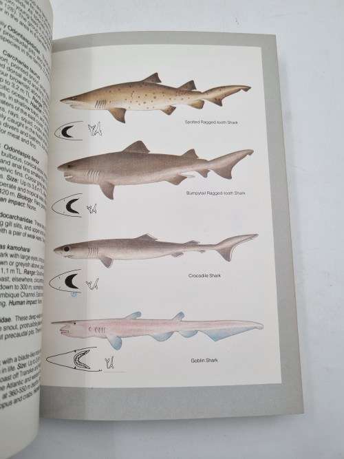 LJV Compagno Guide to Sharks and Rays of Southern Africa | Over 175 Illustrations