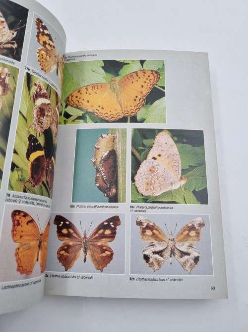 Ivor Migdoll`s Field Guide to the Butterflies of Southern Africa | Over 620 Photographs