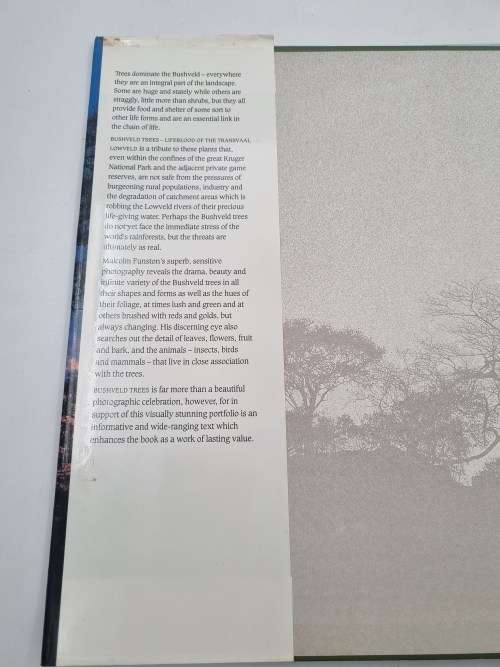 Bushveld Trees - Malcolm Funston | Lifeblood of the Transvaal Lowveld