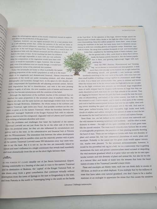 Bushveld Trees - Malcolm Funston | Lifeblood of the Transvaal Lowveld