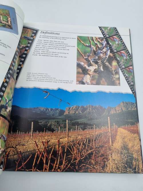 Wines and Brandies of the Cape of Good Hope - Phyllis Hands & Dave Hughes