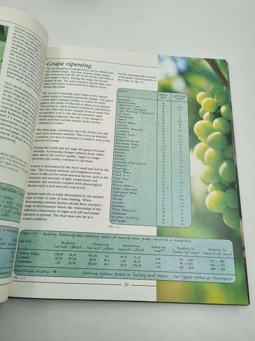 Wines and Brandies of the Cape of Good Hope - Phyllis Hands & Dave Hughes