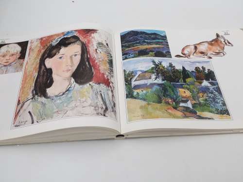 The Life and Art of Francois Krige by Justin Fox
