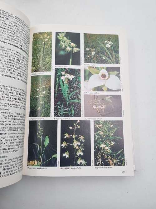 A Field Guide to Wild Flowers Kwazulu-Natal and the Eastern Region - Elsa Pooley