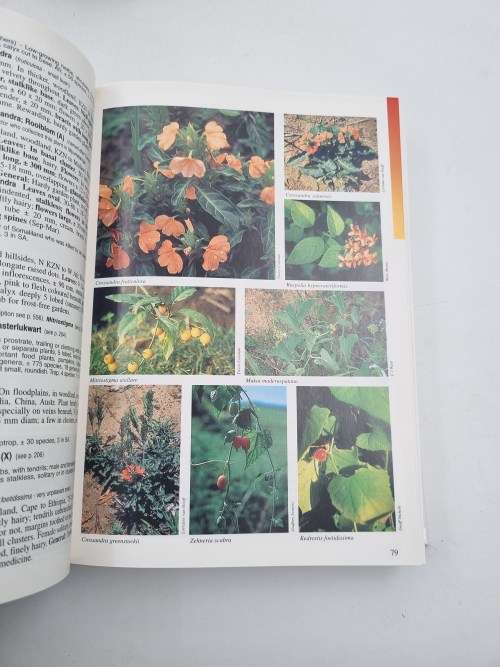 A Field Guide to Wild Flowers Kwazulu-Natal and the Eastern Region - Elsa Pooley
