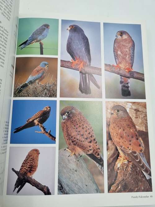 Southern African Birds ~ A Photographic Guide by Ian Sinclair and Ian Davidson