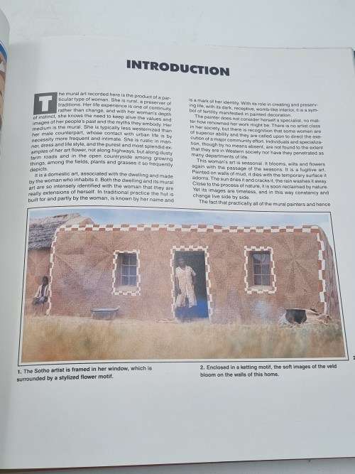 The African Mural - Paul Changuion