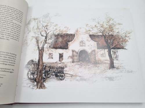 Victorian Life at the Cape - Catherine Knox and Cora Coetzee | 1870 - 1900