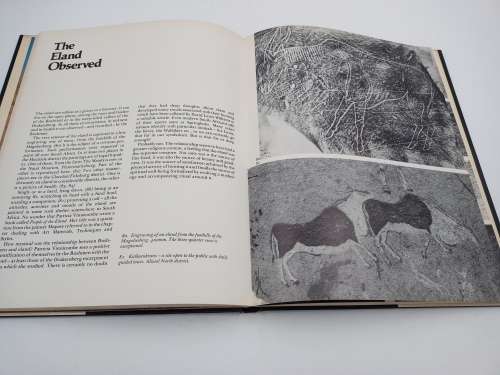 The Bushman Art of Southern Africa - HC Woodhouse | First Edition