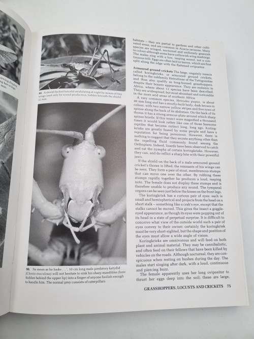 African Insect Life - S H Skaife | New Revised and Illustrated Edition