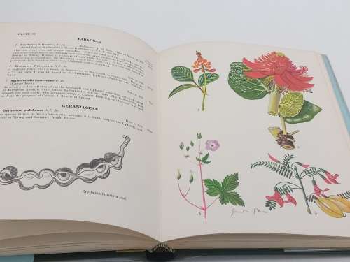 Wild Flowers of Natal by Janet M Gibson | Inland Region